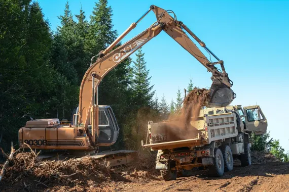 Casino Bonkers Bet Ondersteuning